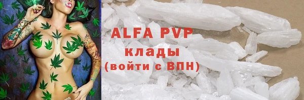 стафф Каменск-Шахтинский