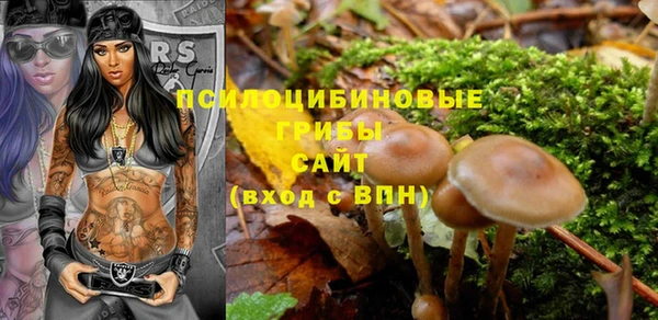 apvp Абинск